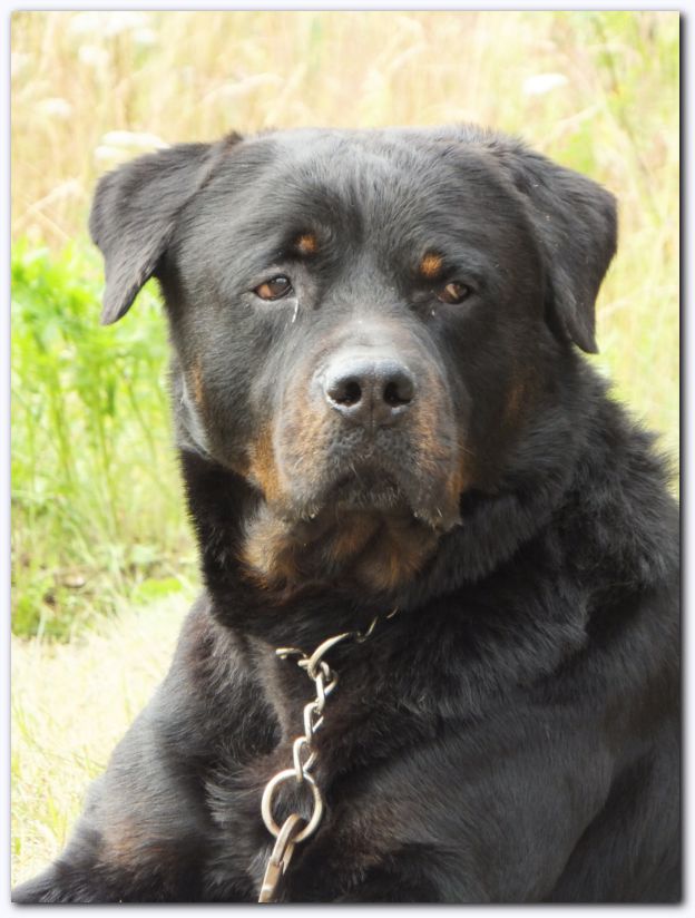 602x801 pixels (74K)