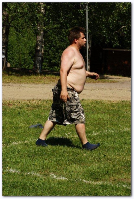 536x801 pixels (215K)