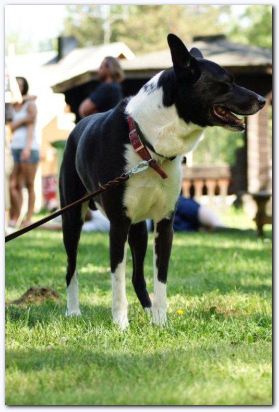 536x801 pixels (160K)