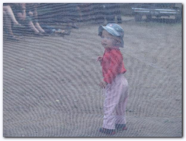 602x451 pixels (102K)