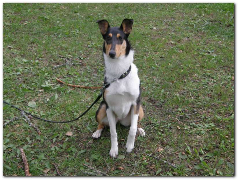 802x601 pixels (90K)