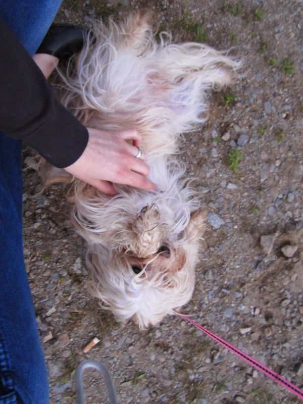 600x800 pixels (84K)