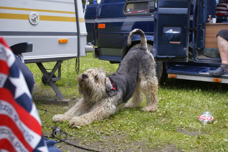 800x536 pixels (97K)