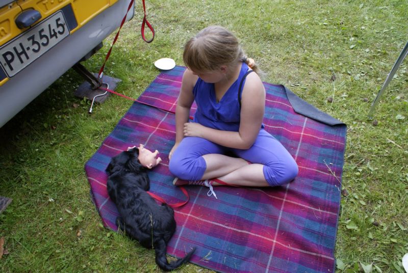 800x536 pixels (103K)