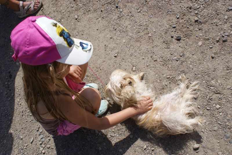 800x536 pixels (107K)