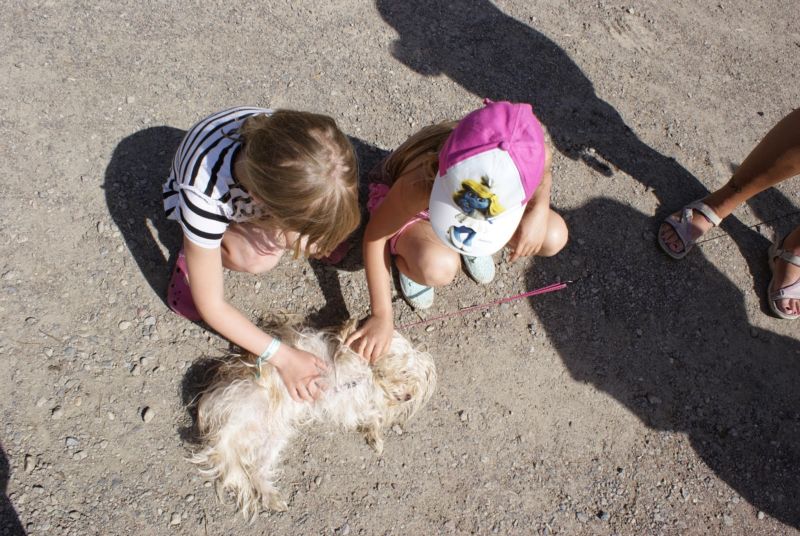 800x536 pixels (105K)