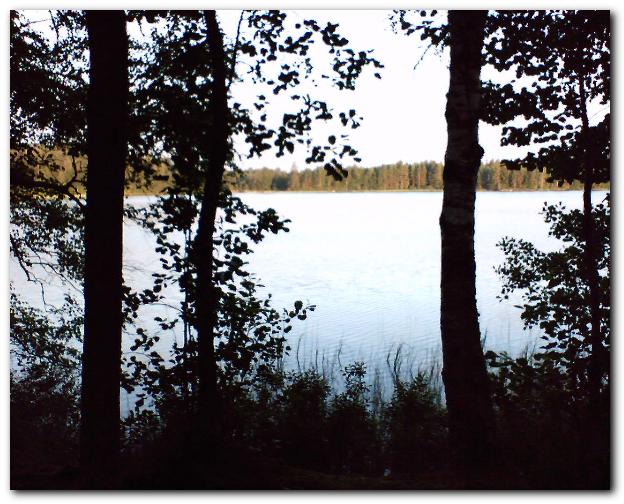 602x481 pixels (76K)