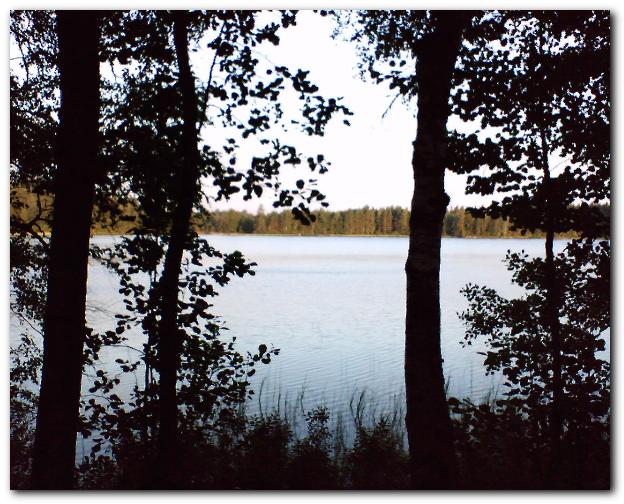 602x481 pixels (82K)